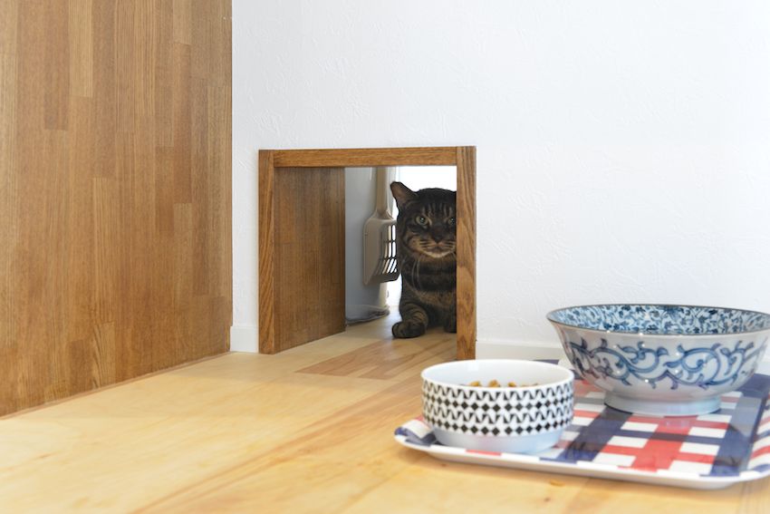 vol.54【リノベ|インタビュー】猫と私がくつろげる、出窓コーナー「陽だまりスペース」のある家