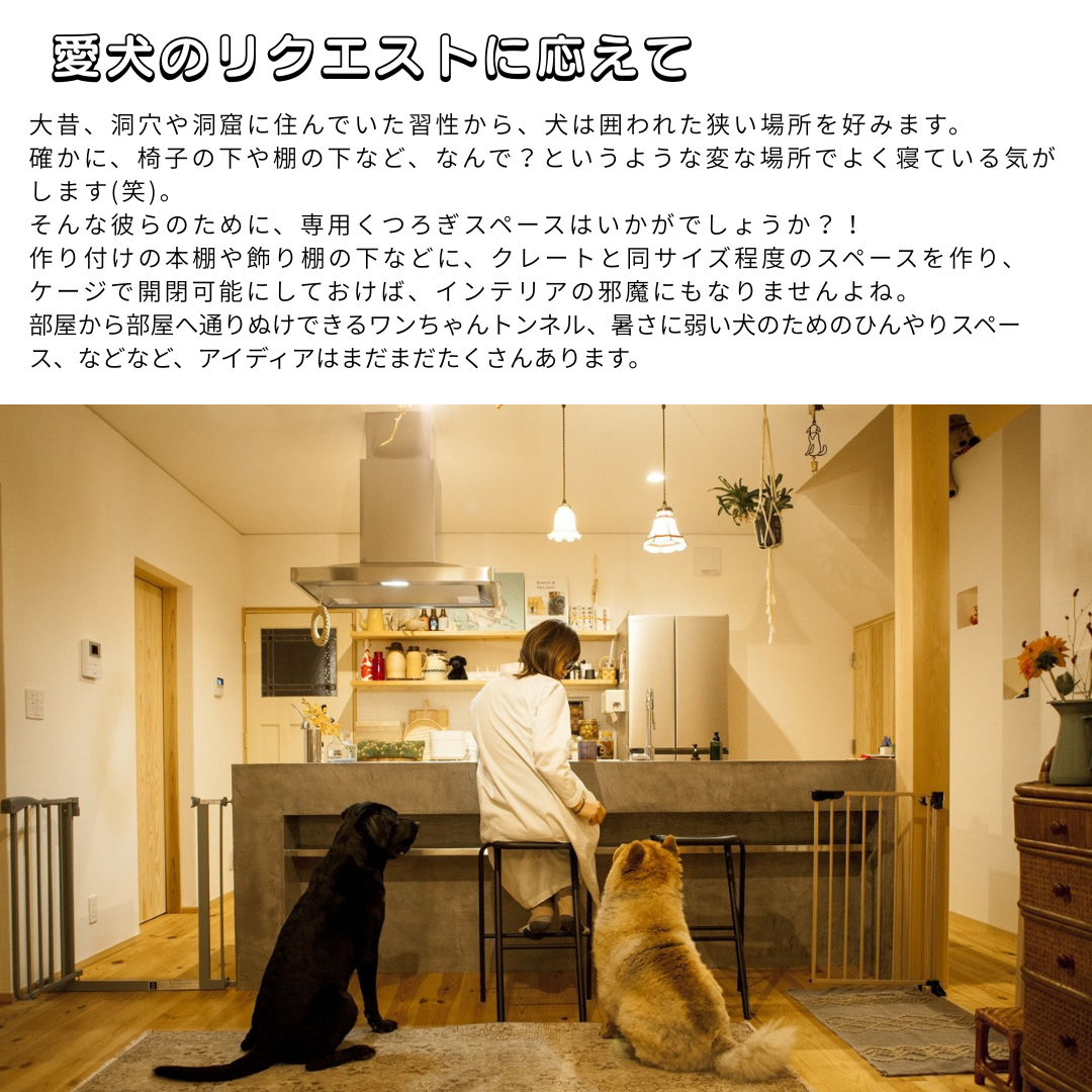 ☆ペットが喜ぶ　RENOVATION☆