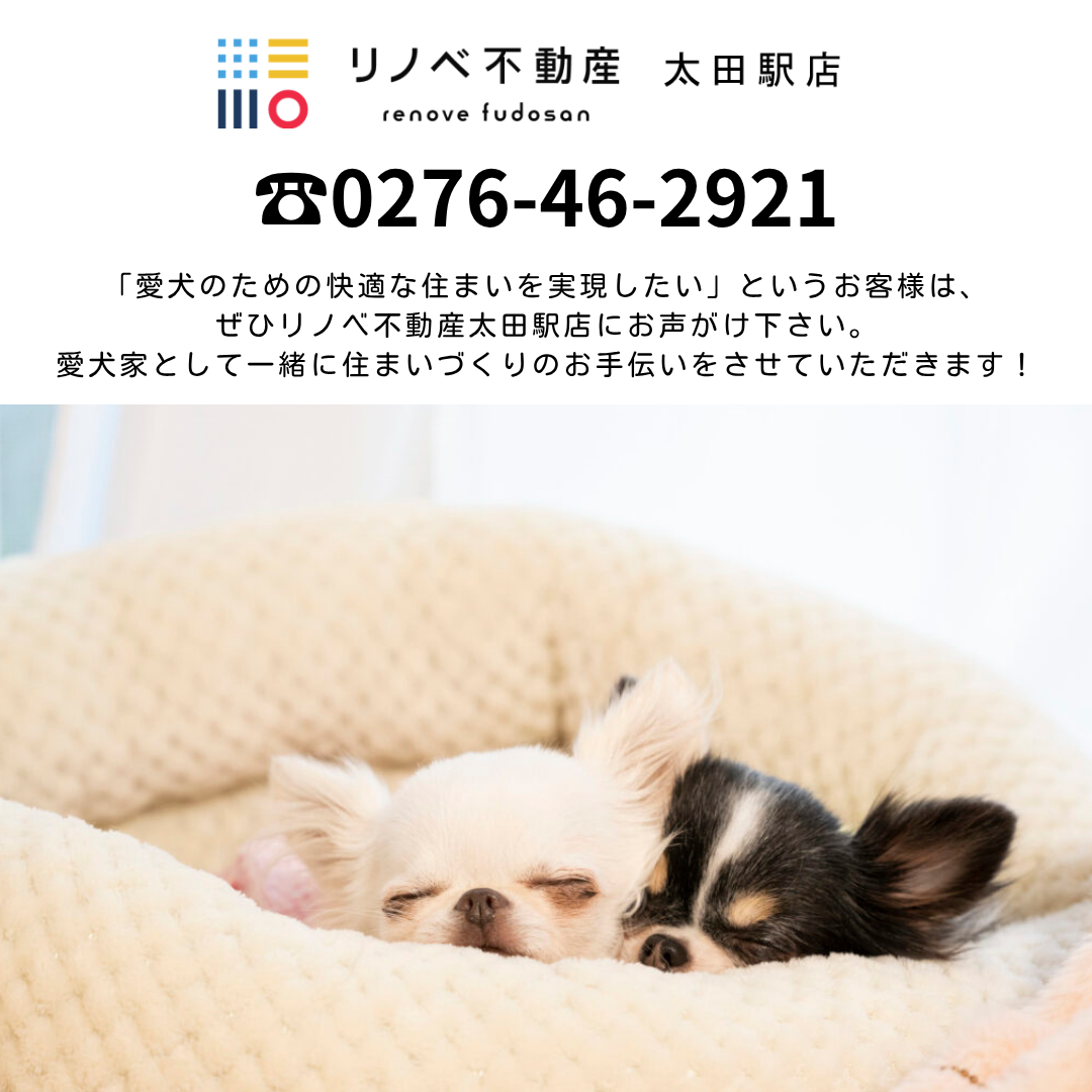 ☆ペットが喜ぶ　RENOVATION☆