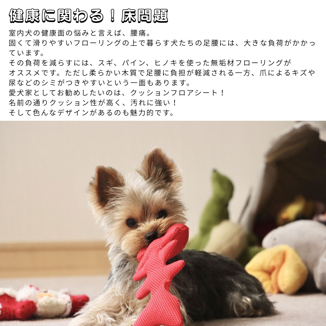 ☆ペットが喜ぶ　RENOVATION☆