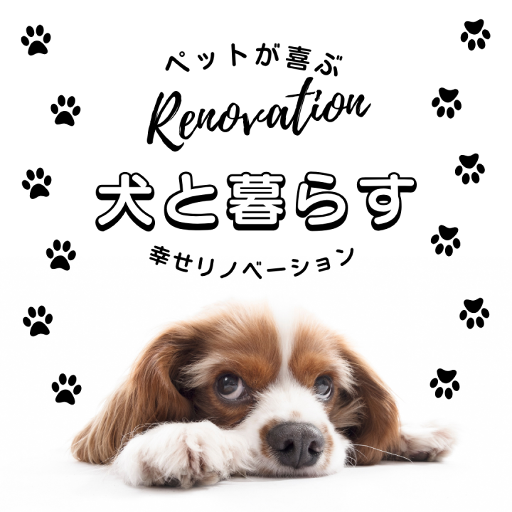 ☆ペットが喜ぶ　RENOVATION☆
