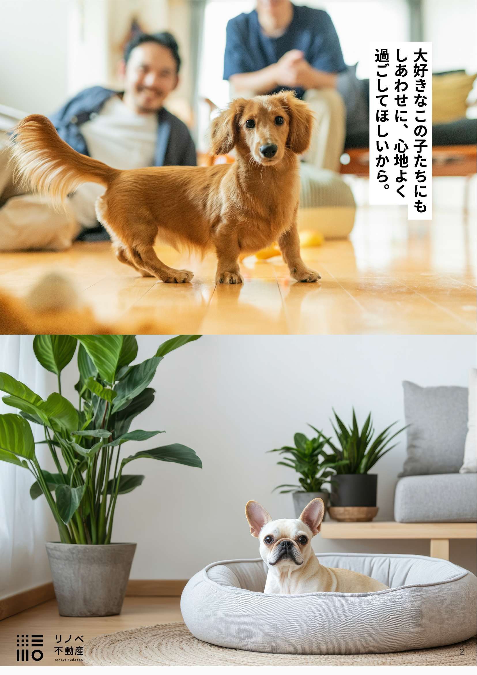 LOVE PET LIFE
