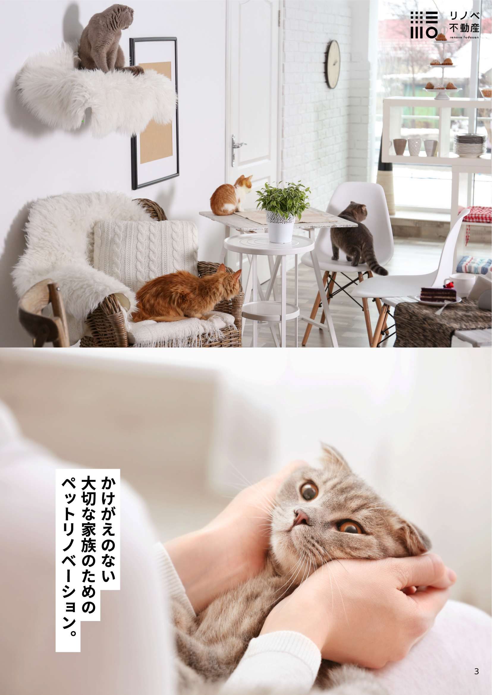 LOVE PET LIFE