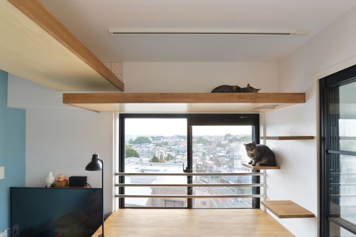【リノベ|インタビュー】猫と私がくつろげる、出窓コーナー「陽だまりスペース」のある家