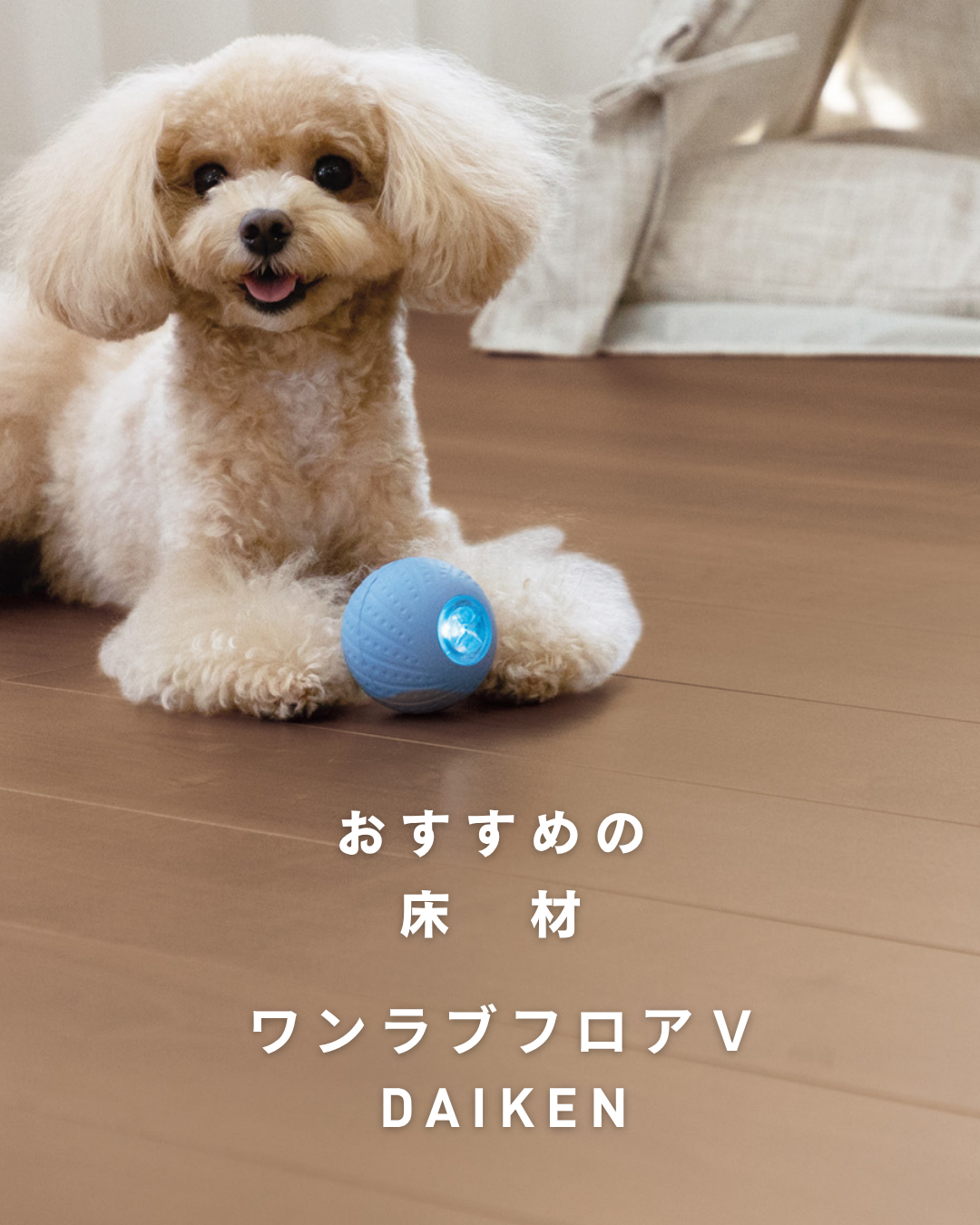 わんちゃんも、ねこちゃんも、もっと快適に！
