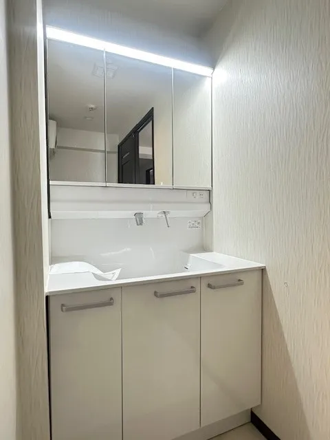 オシャレな洗面化粧台は広々と使えるサイズなので、2人並んで使っても大丈夫そうですね。