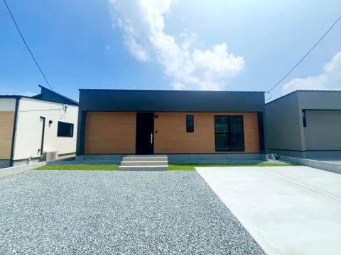 【4号地 2025.07.10 撮影】