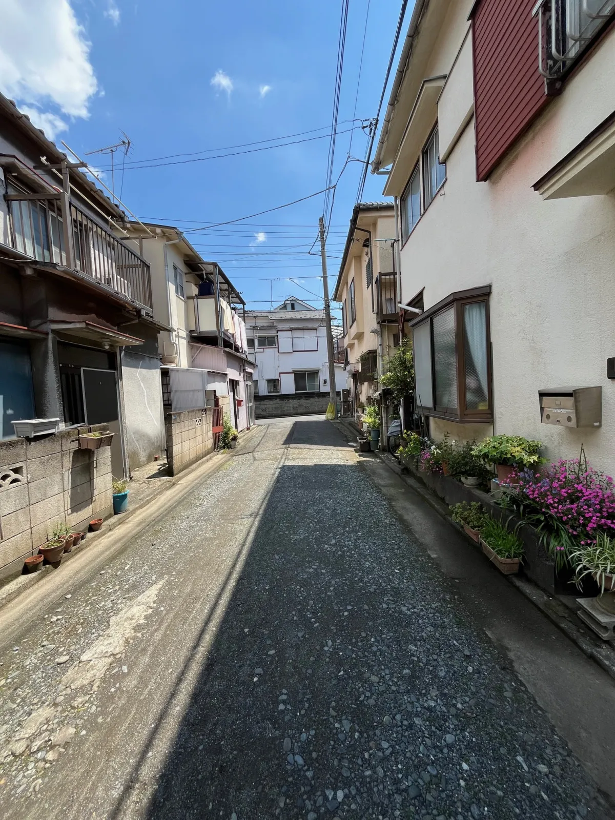 北東側私道