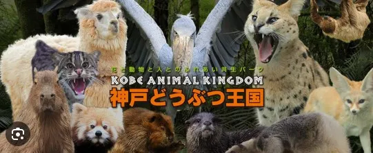 週末にはどうぶつ王国で遊ぶのも楽しいですね♪