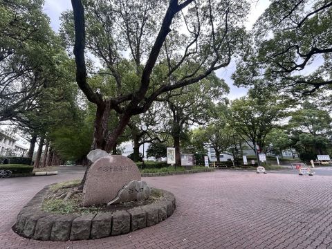 緑豊かな総合公園が徒歩1分
