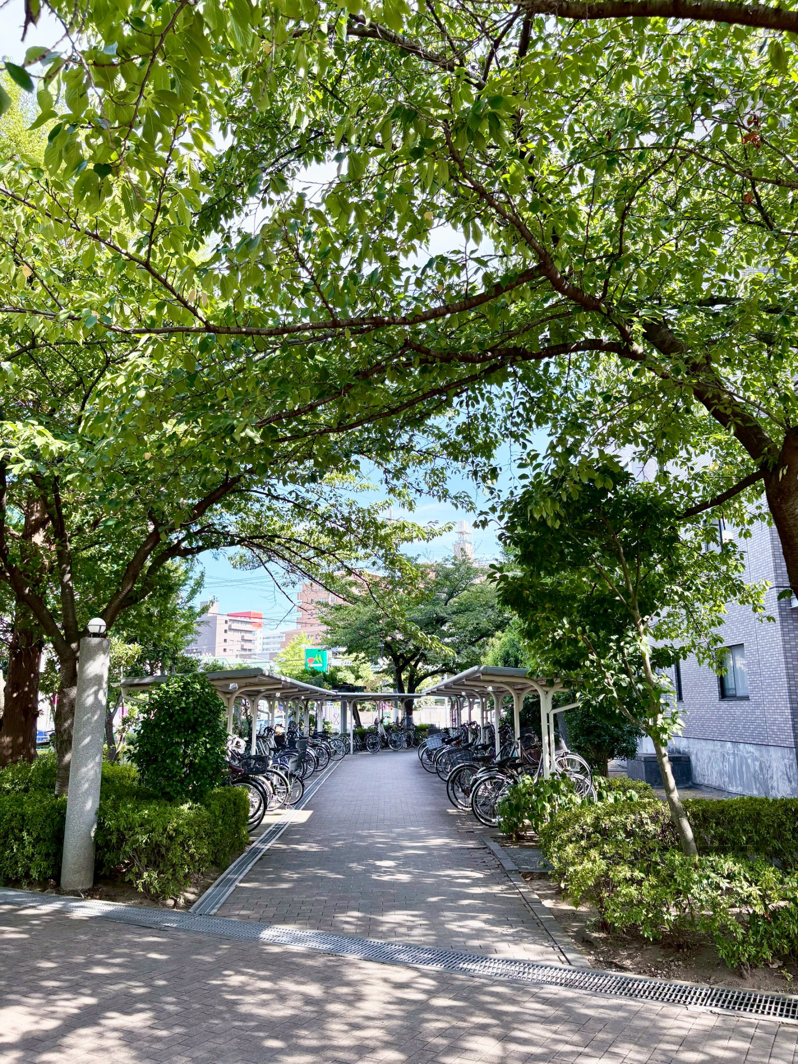 敷地内緑が多く管理が行き届いています。奥は駐輪場です。