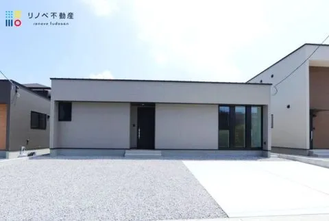 【3号地 2025.05.19  撮影】