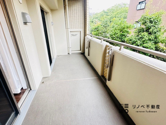 かなり広々としたバルコニーには、汚れた物やペットの足などを洗えるスロップシンクが付いています。これは便利です！