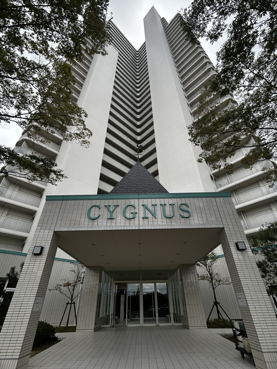 南西向き日当たり良好！