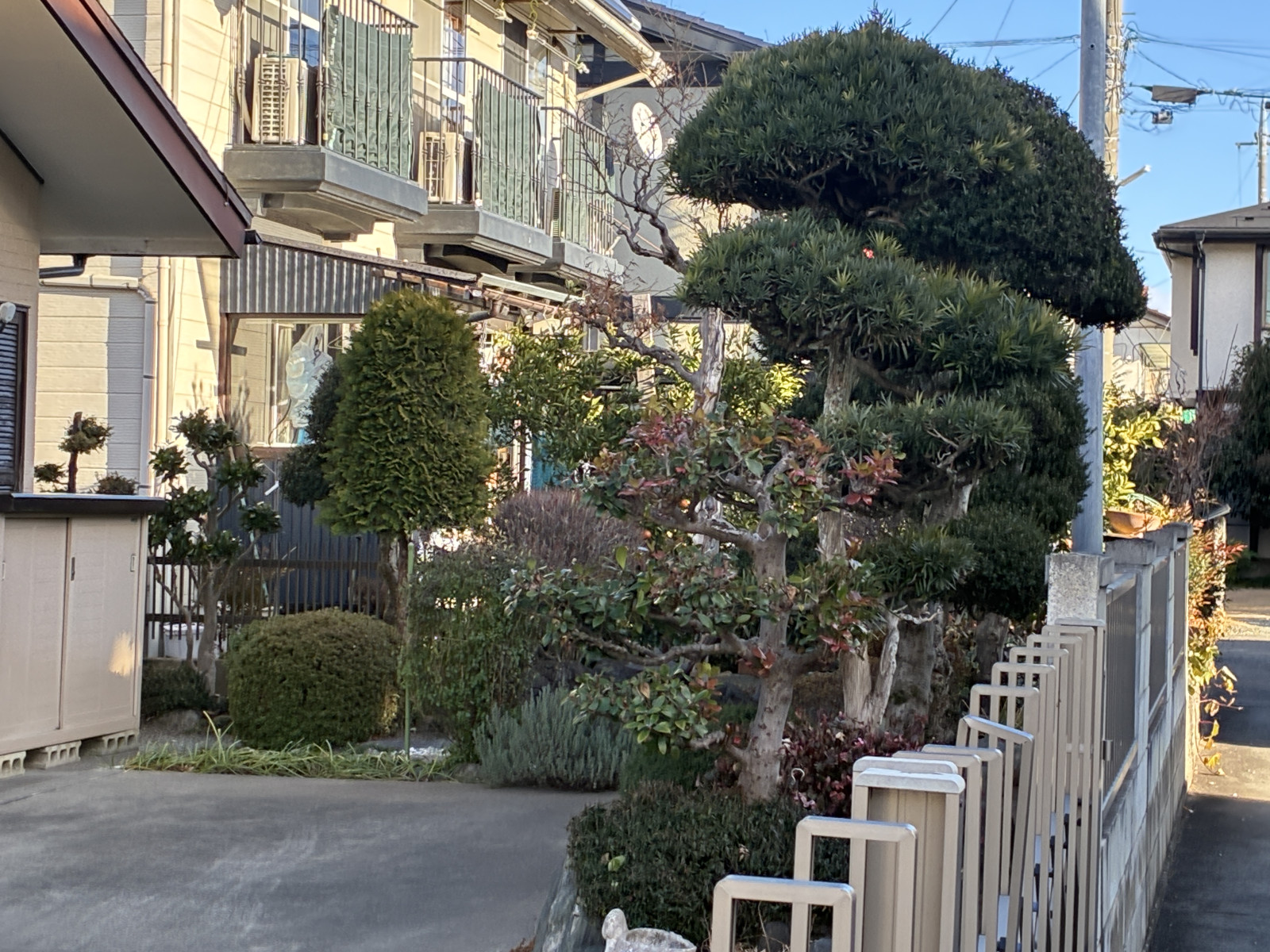 お庭があるのでガーデニングや家庭菜園も楽しめます。