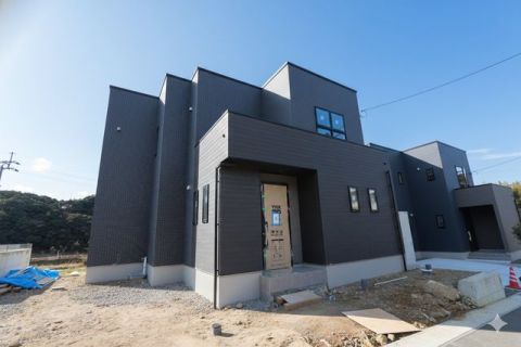 【6号地  2026.01.08 撮影 】