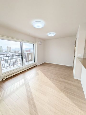 主要採光面が南向きで、陽射しが降り注ぐ約15.3帖のLDK。眺望も良くお家時間も楽しくなりそうですね