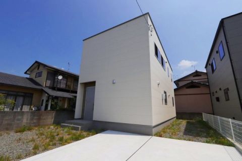 【A号地　2024.08.18　撮影】