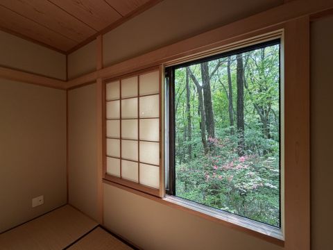 建物の窓からは、どこまでも続く新緑の森が一望できます。まるで森の中に住んでいるかのような、圧倒的な没入感。