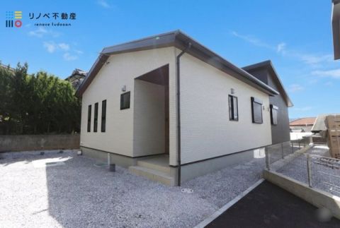 【B号地　2026.04.25　撮影】