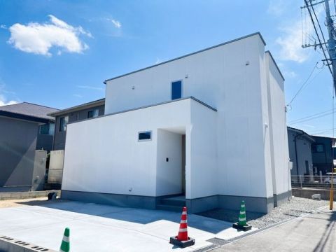 【2026.07.30　撮影】