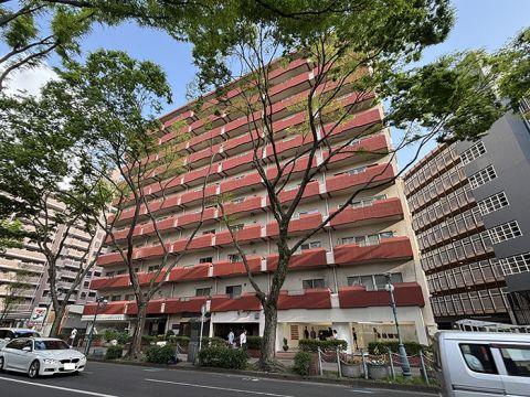 現地外観