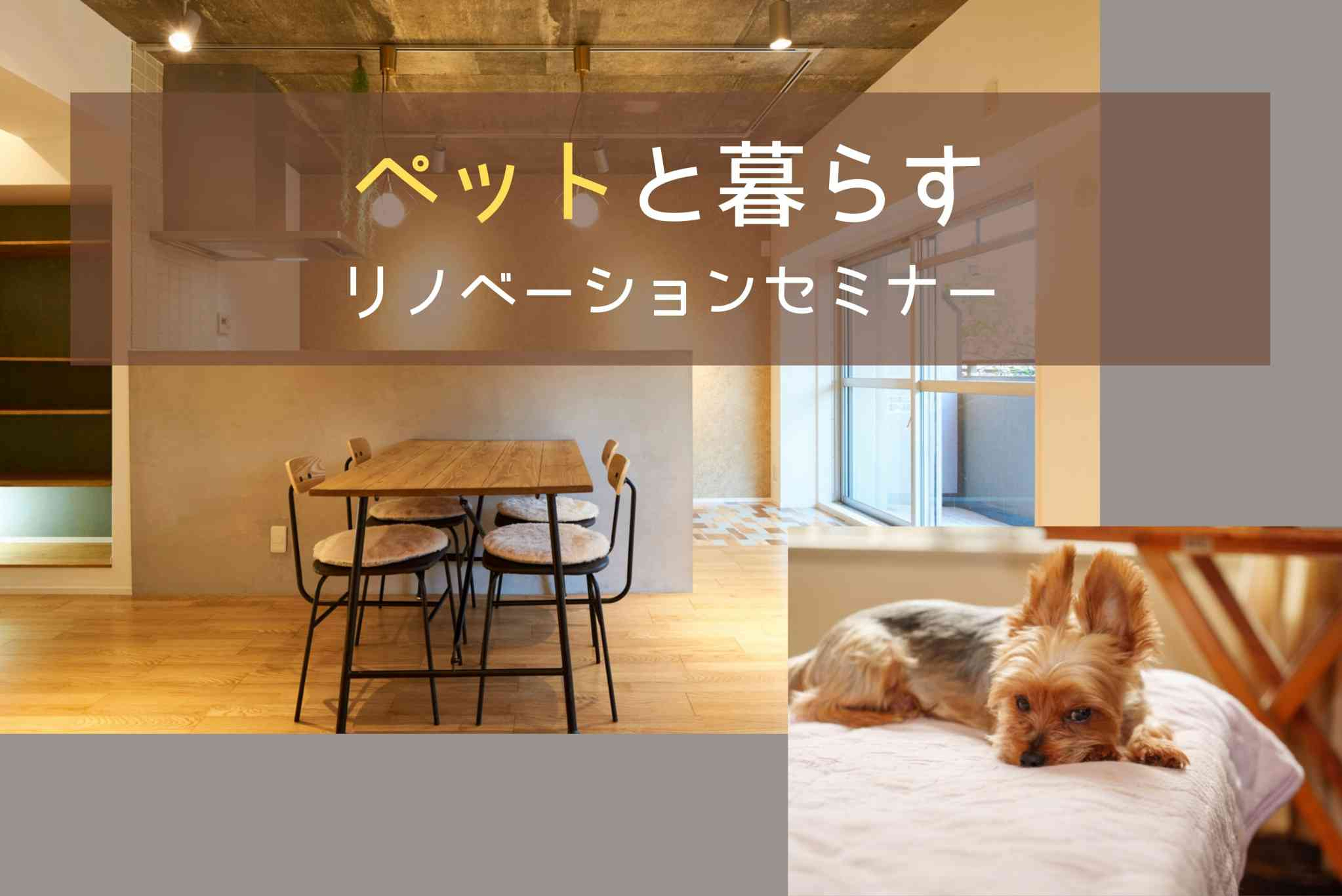 ペットと暮らすリノベーションセミナー【オンライン対応可能！】